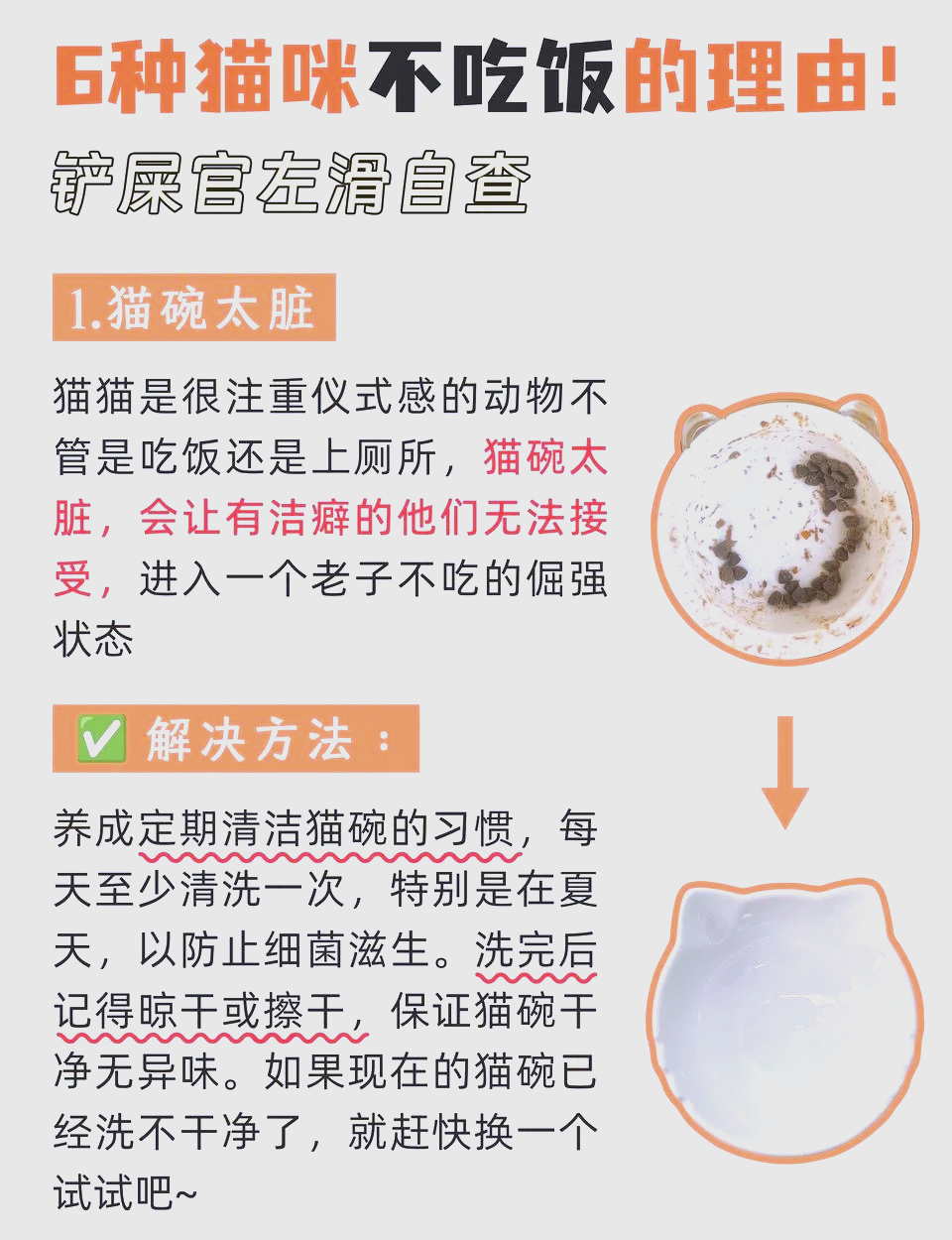 有洁癖怎么办