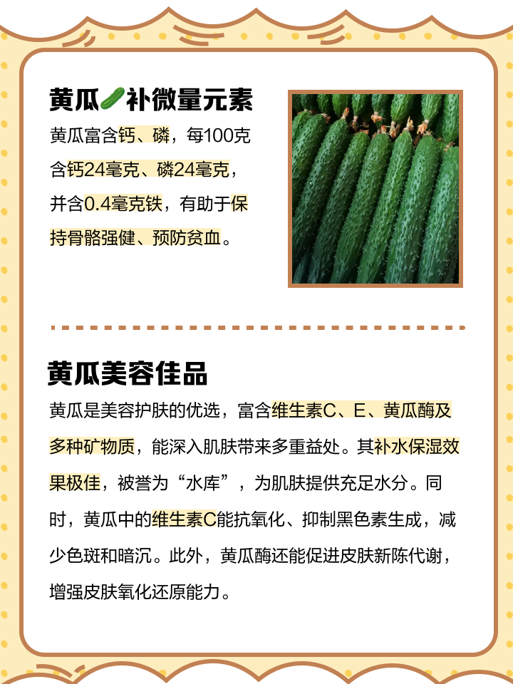 黄瓜的营养有哪些
