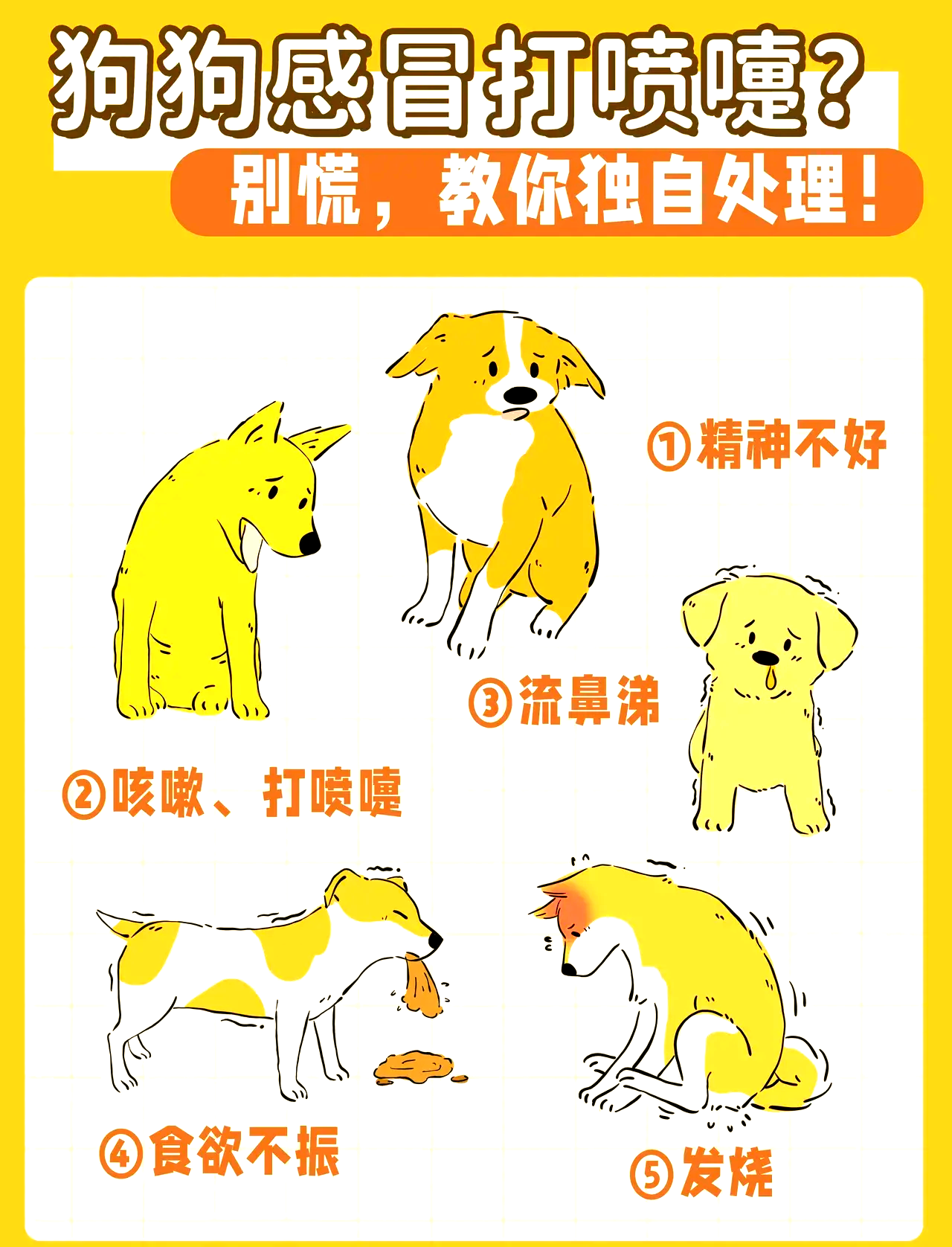 不停打喷嚏怎么回事