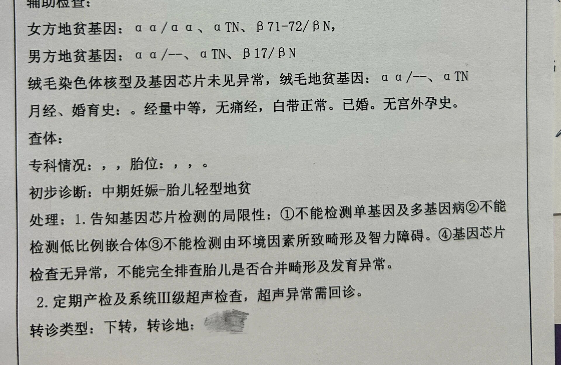 地中海贫血阳性是什么意思