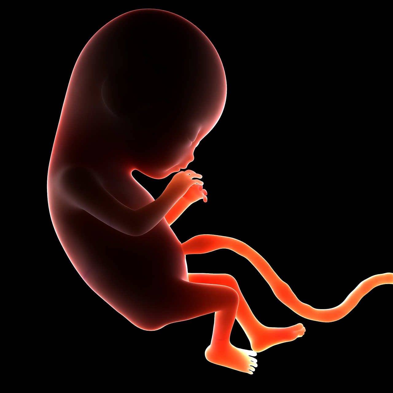 脐带血有必要保存吗