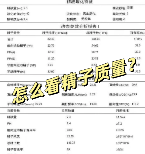 男性检查精子要多少钱