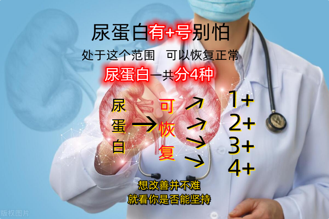 蛋白尿三个加号严重吗?