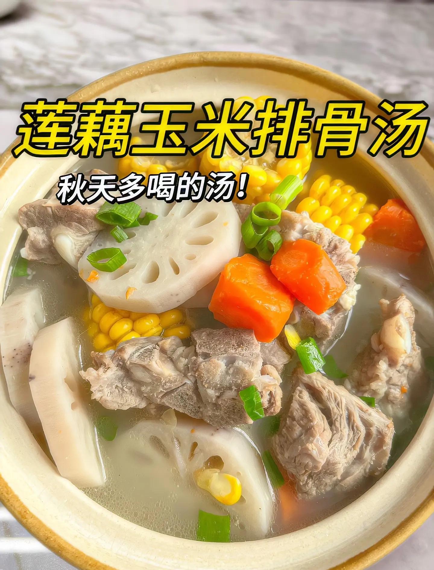 贵素 第3页