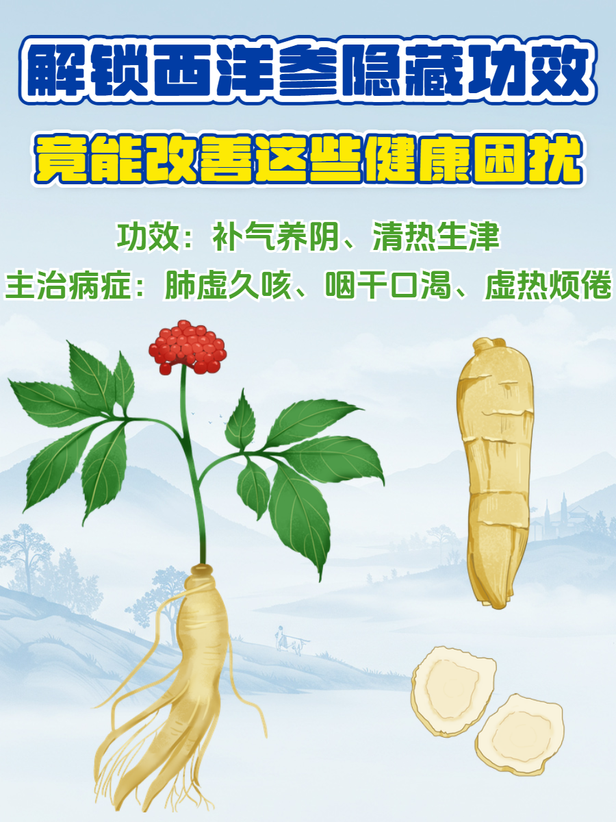 花旗参的功效?