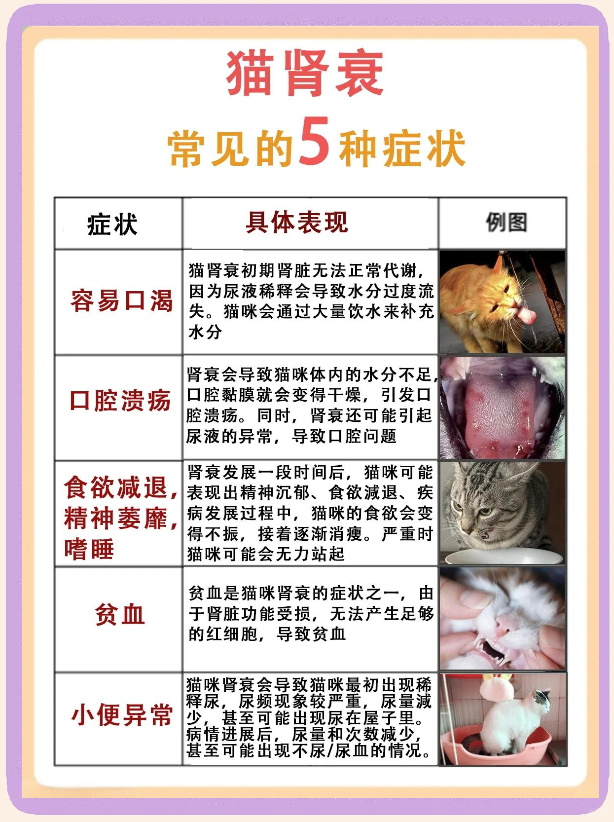 肾衰竭的原因有几种