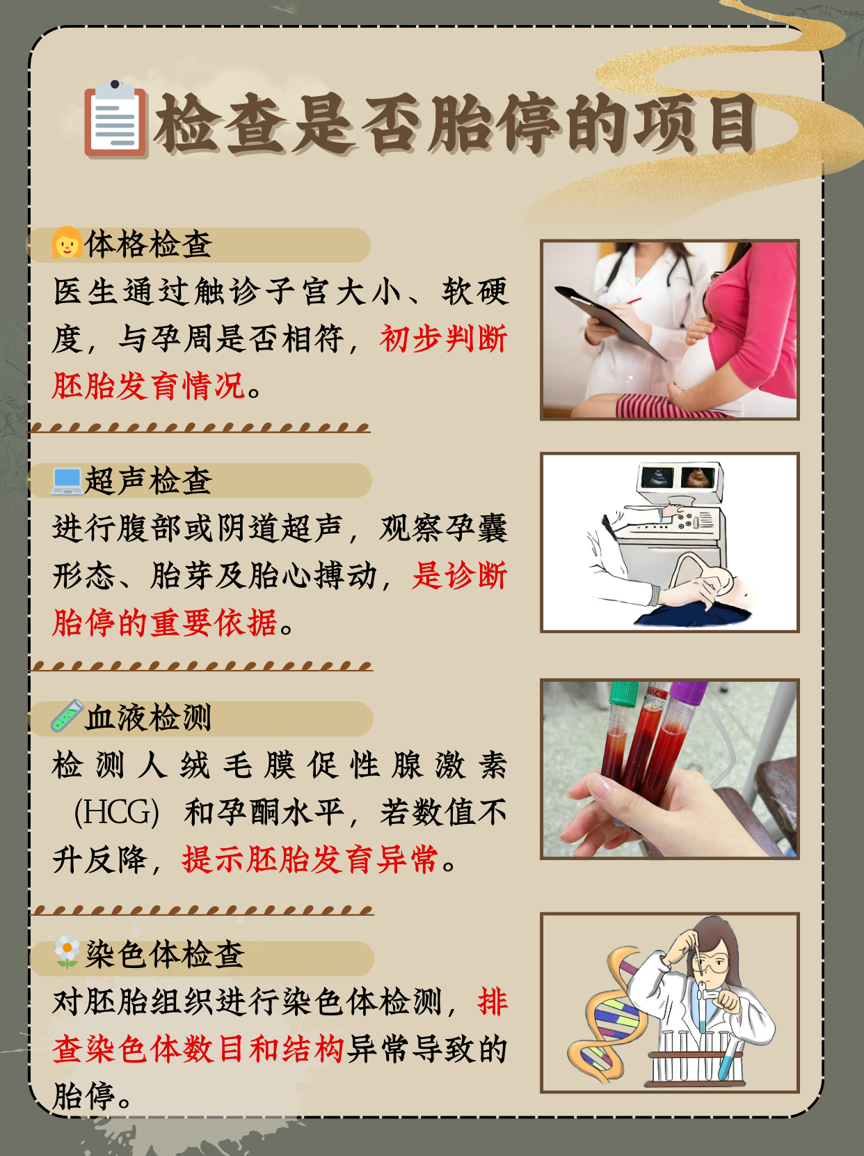 有胎心胎芽后如何预防胎停