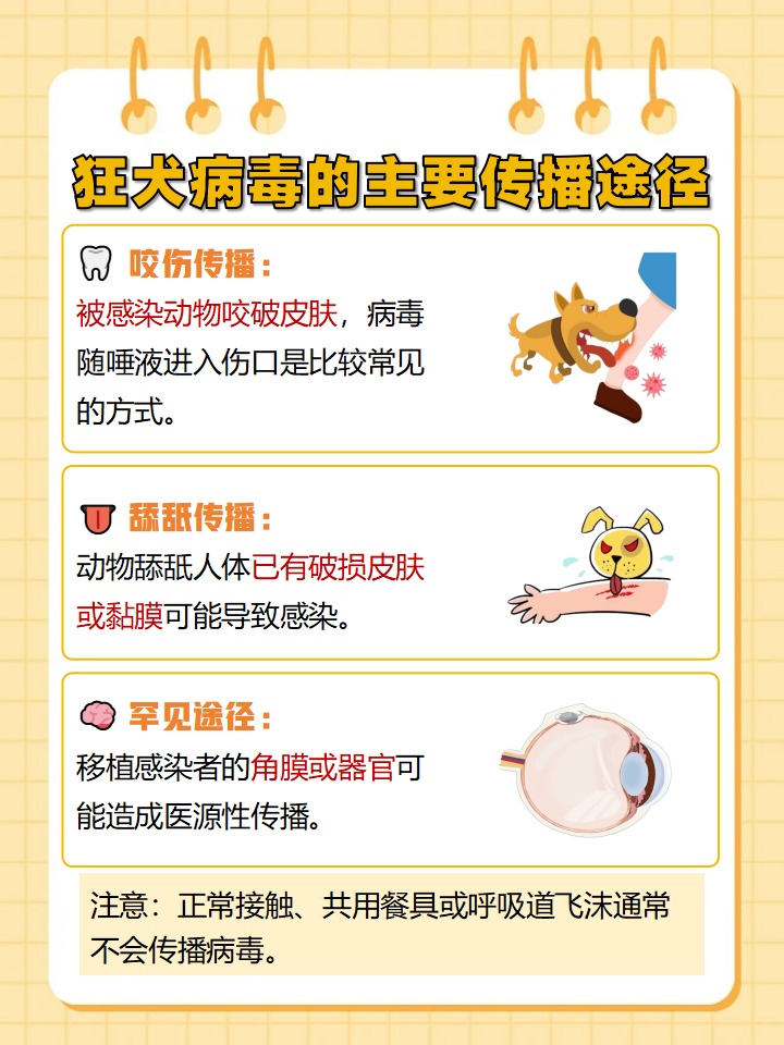 狂犬病是怎么传染的