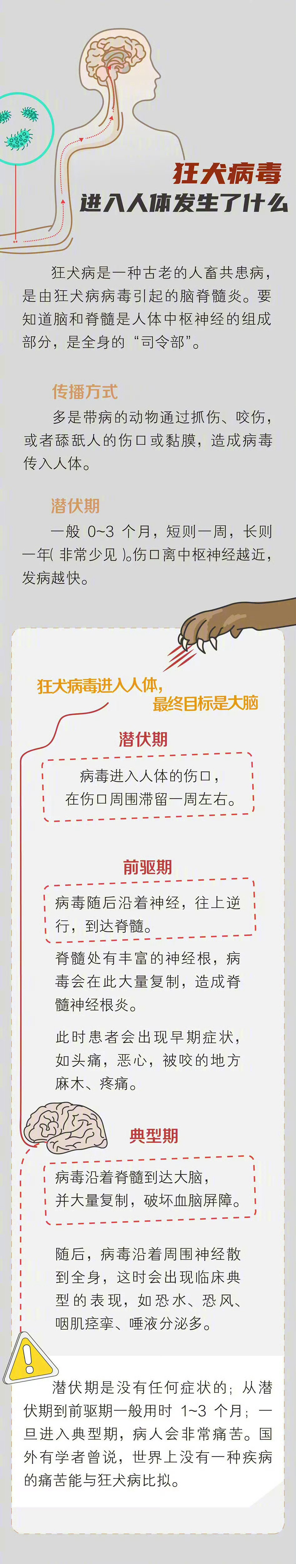 狂犬病潜伏期是多久