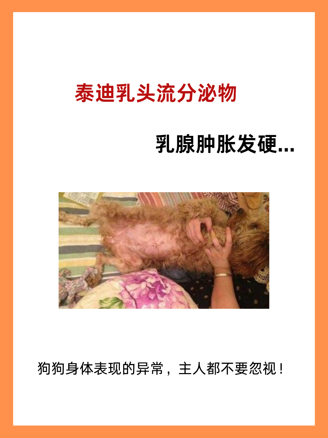 乳头变大怎么回事