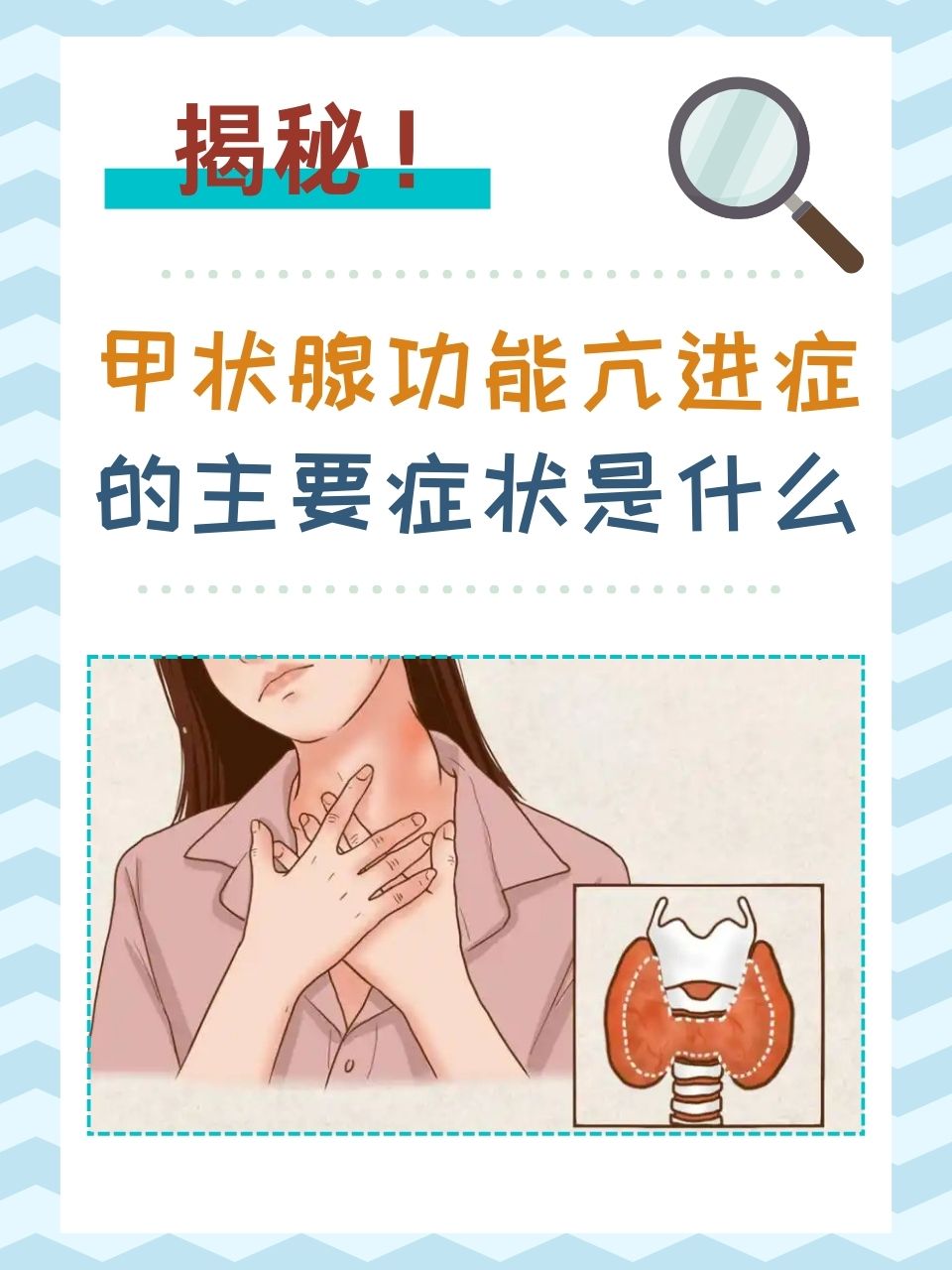 甲状腺激素的作用