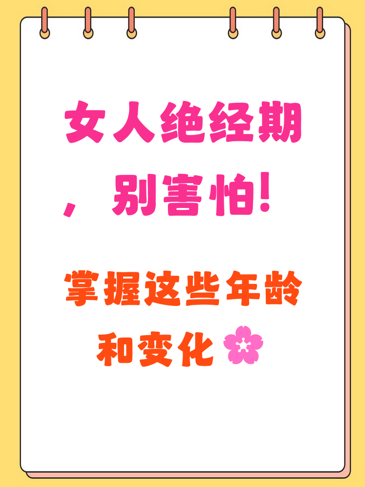 修雨文 第2页