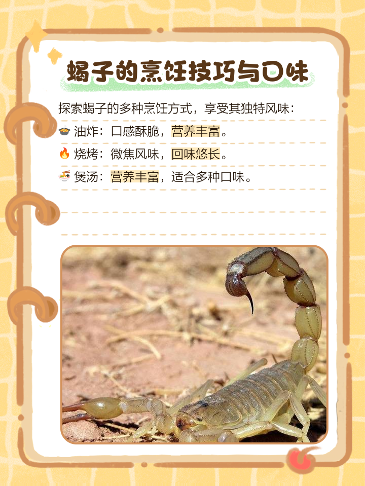 野生的活蝎怎么泡酒?