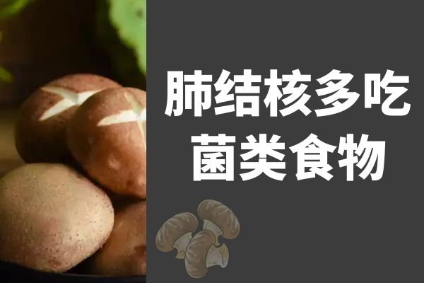 都市视野 第483页