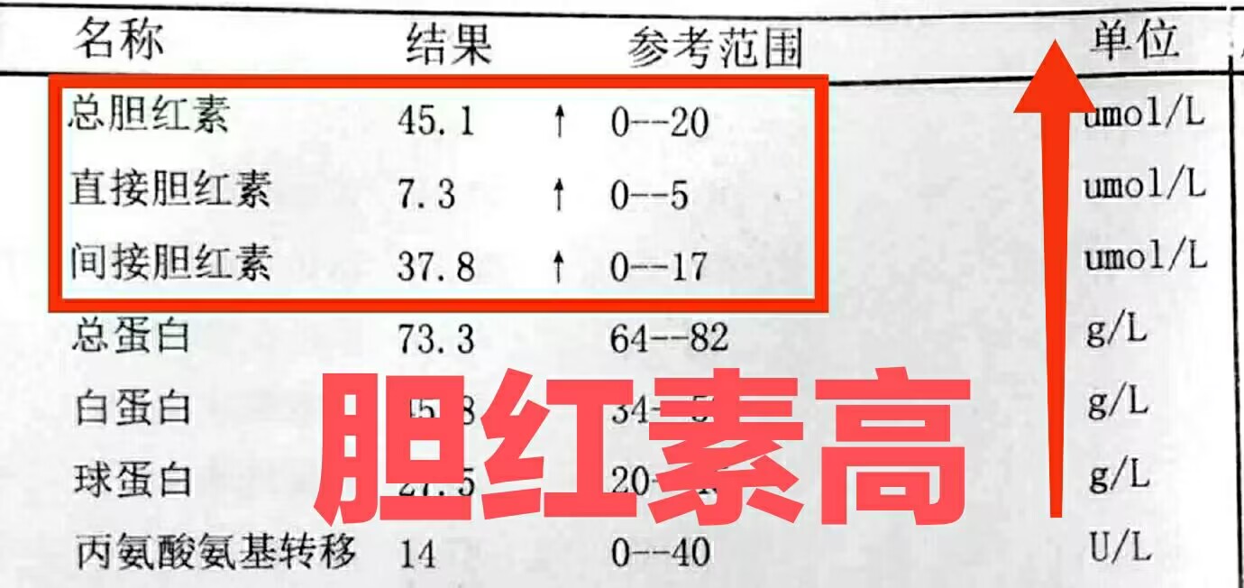 卿雅昶 第2页