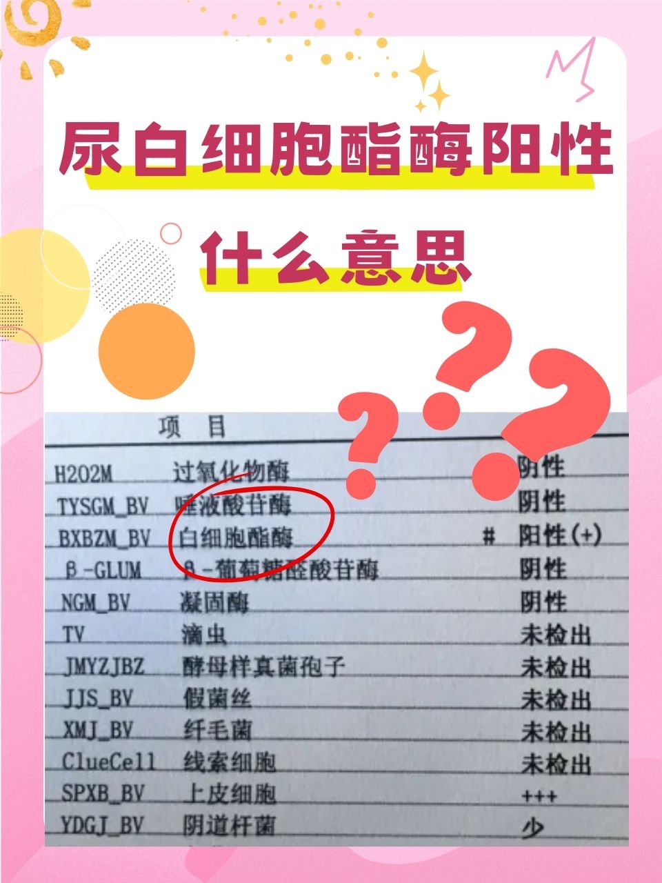 尿白细胞是什么