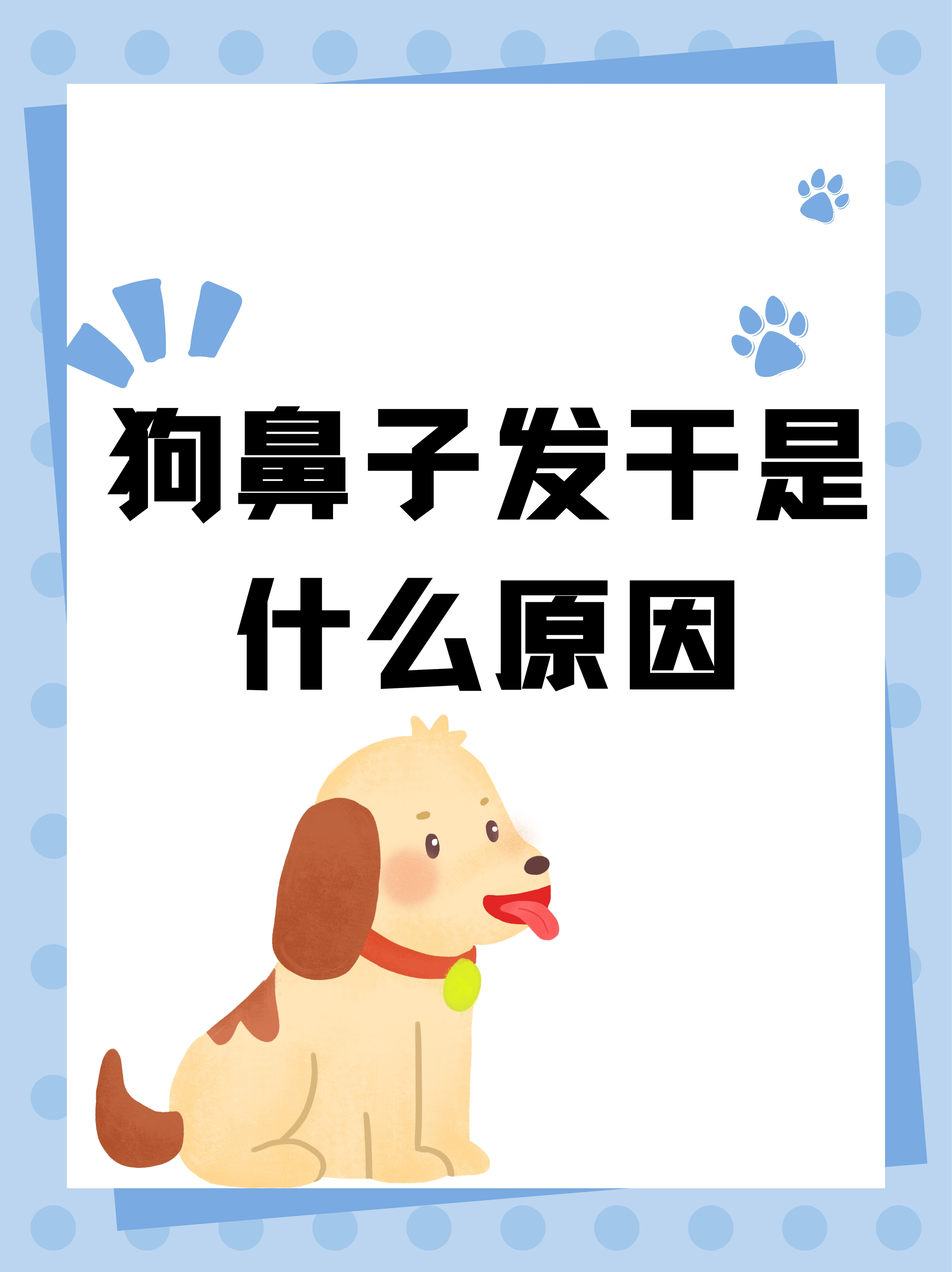 鼻子干疼怎么办