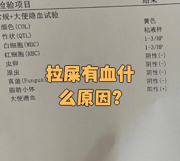 延宏峻 第2页
