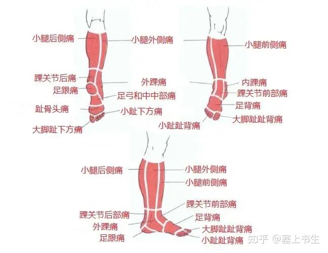 跑完步小腿疼怎么办