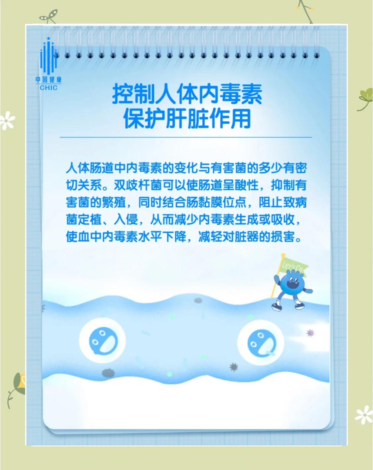 双歧杆菌能长期服用吗