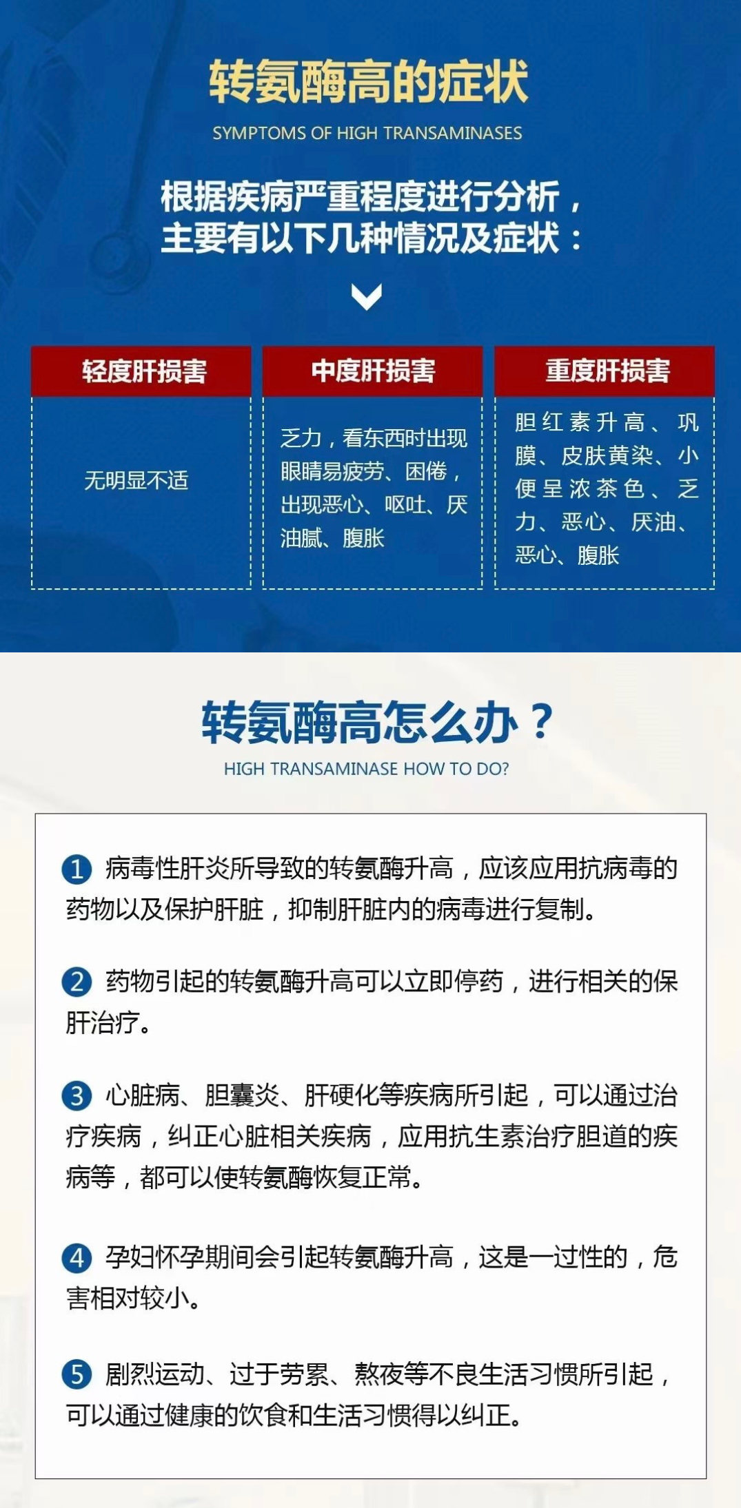丙氨酸氨基转氨酶是什么意思
