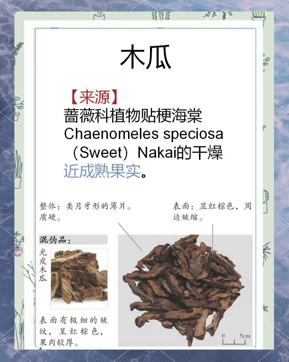 公清妍 第3页