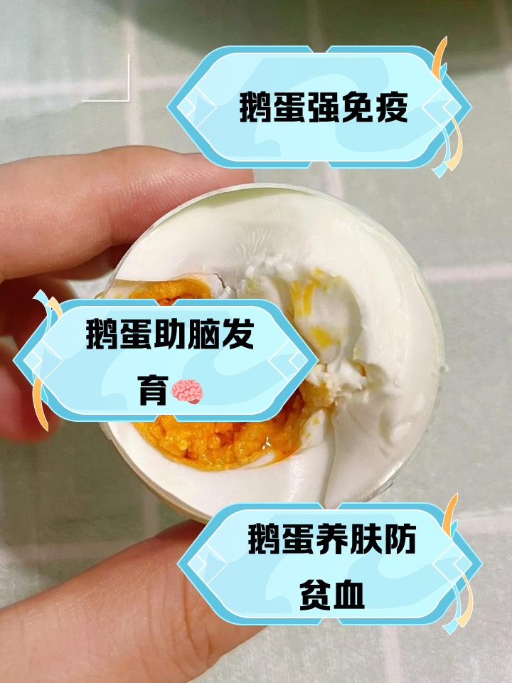 孕妇能吃鹅蛋吗