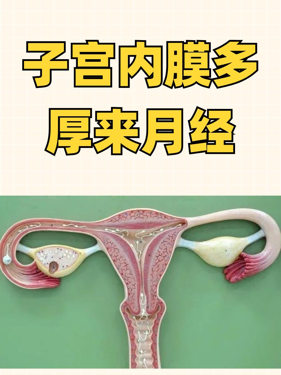 子宫内膜厚度6mm正常吗