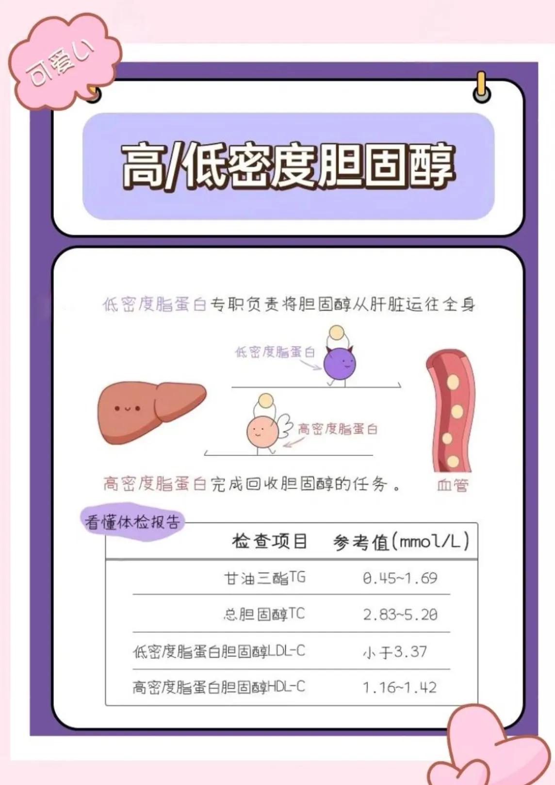 胆固醇多少算偏高