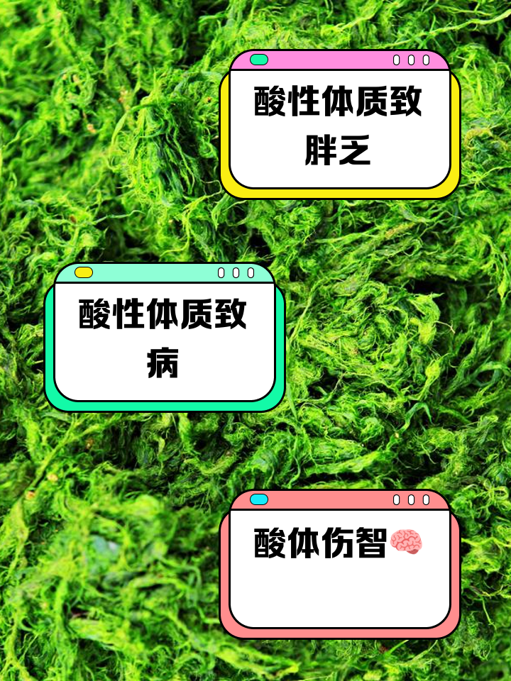酸性体质和碱性体质的区别在什么地方？