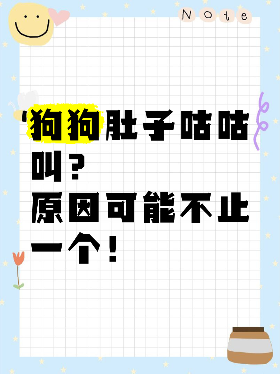 肚子里为什么总是咕咕叫