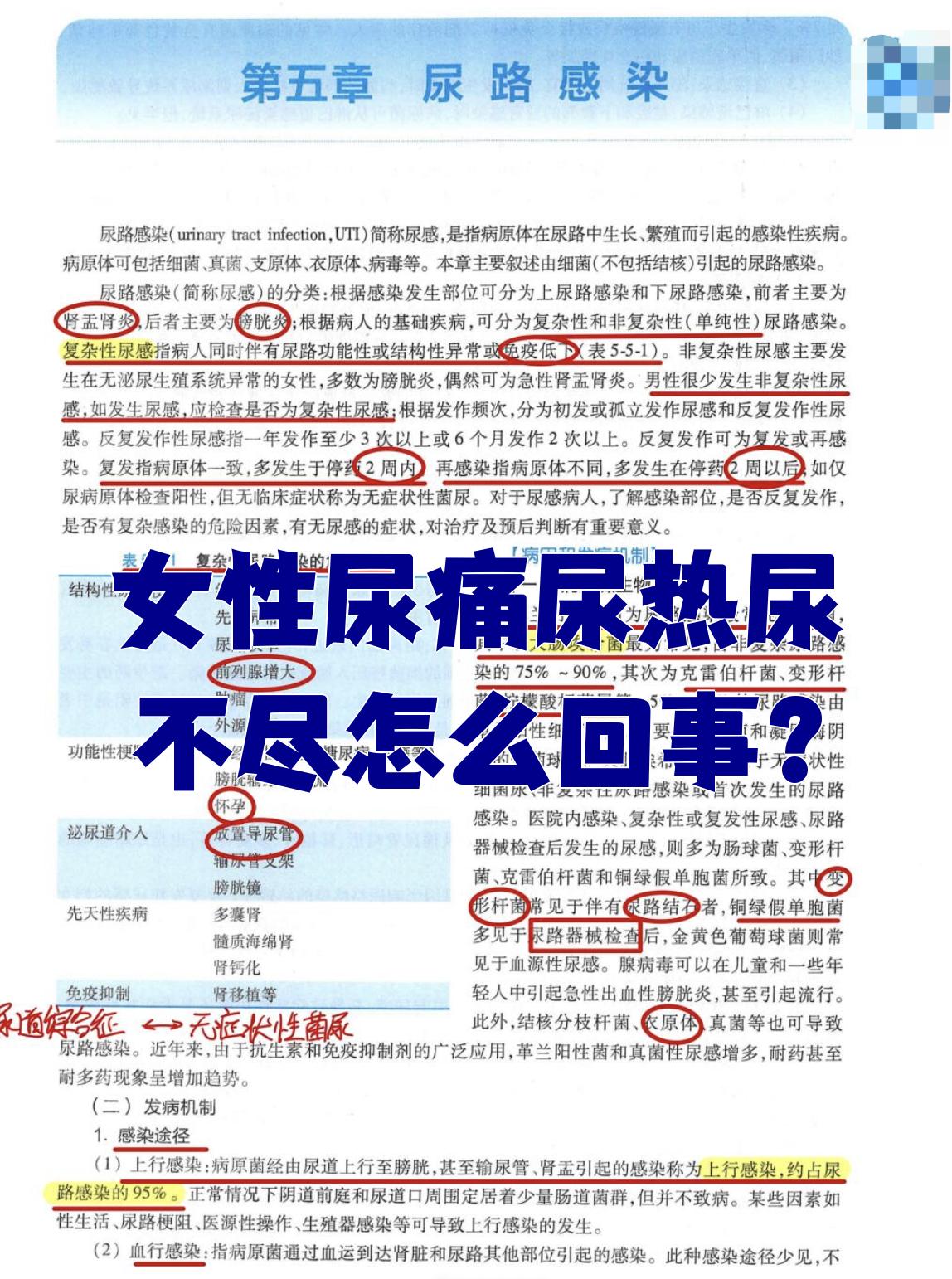 尿痛怎么办尿痛怎么办