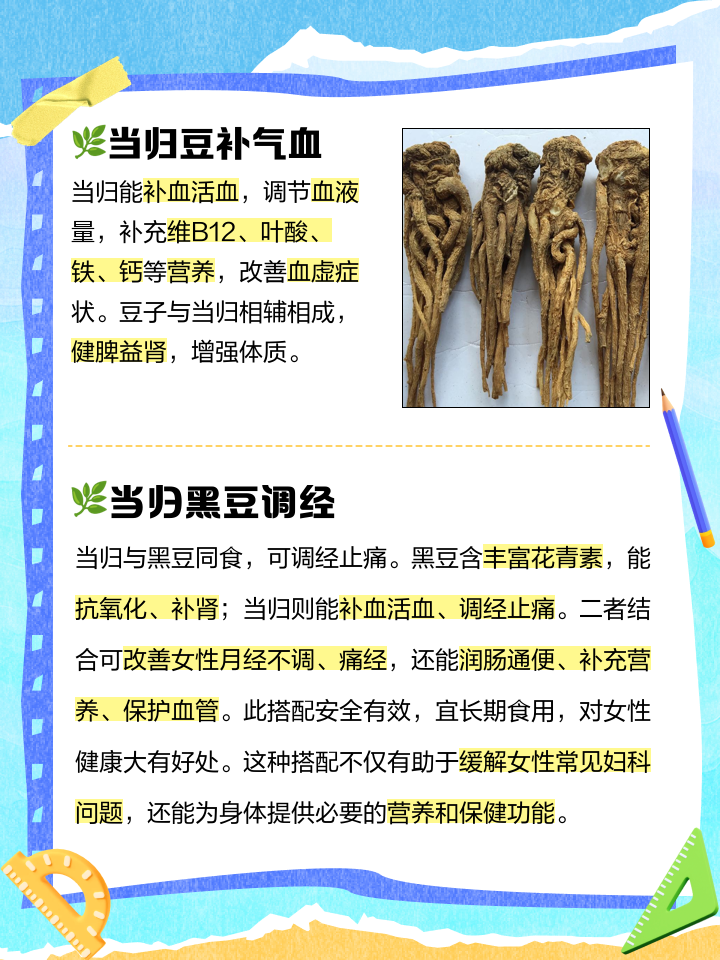 当归的作用和功效