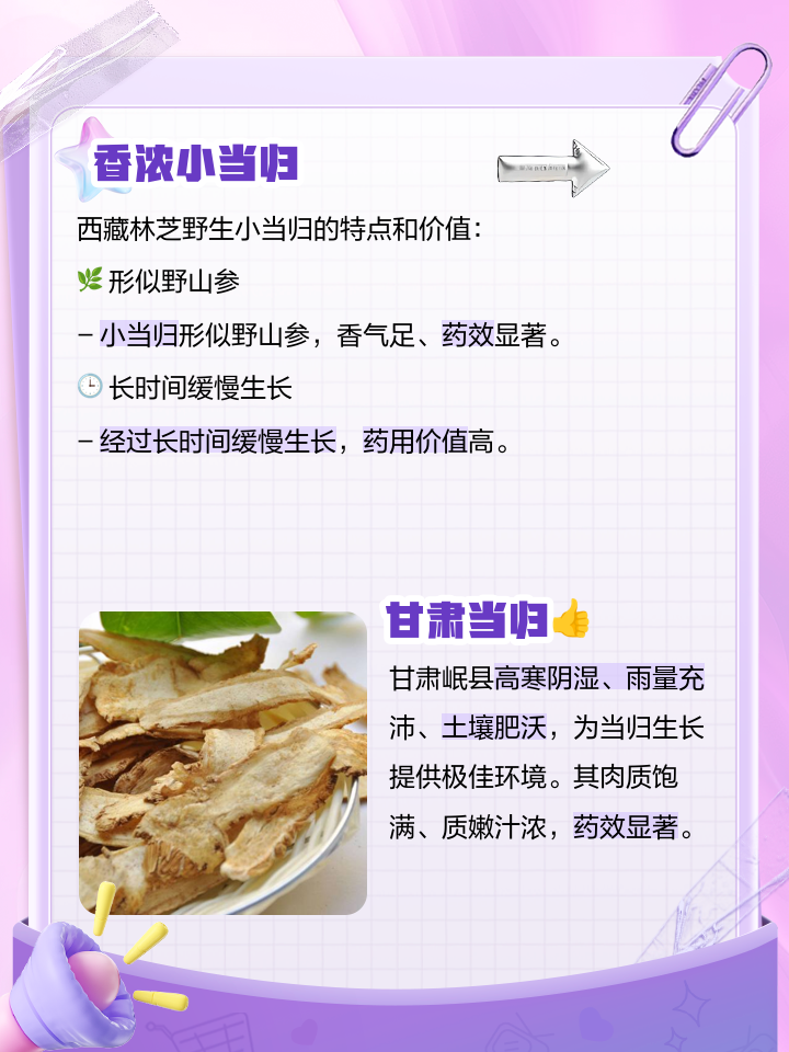 当归的作用和功效