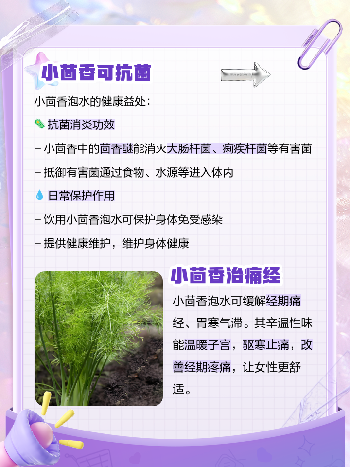 小茴香的功效与作用