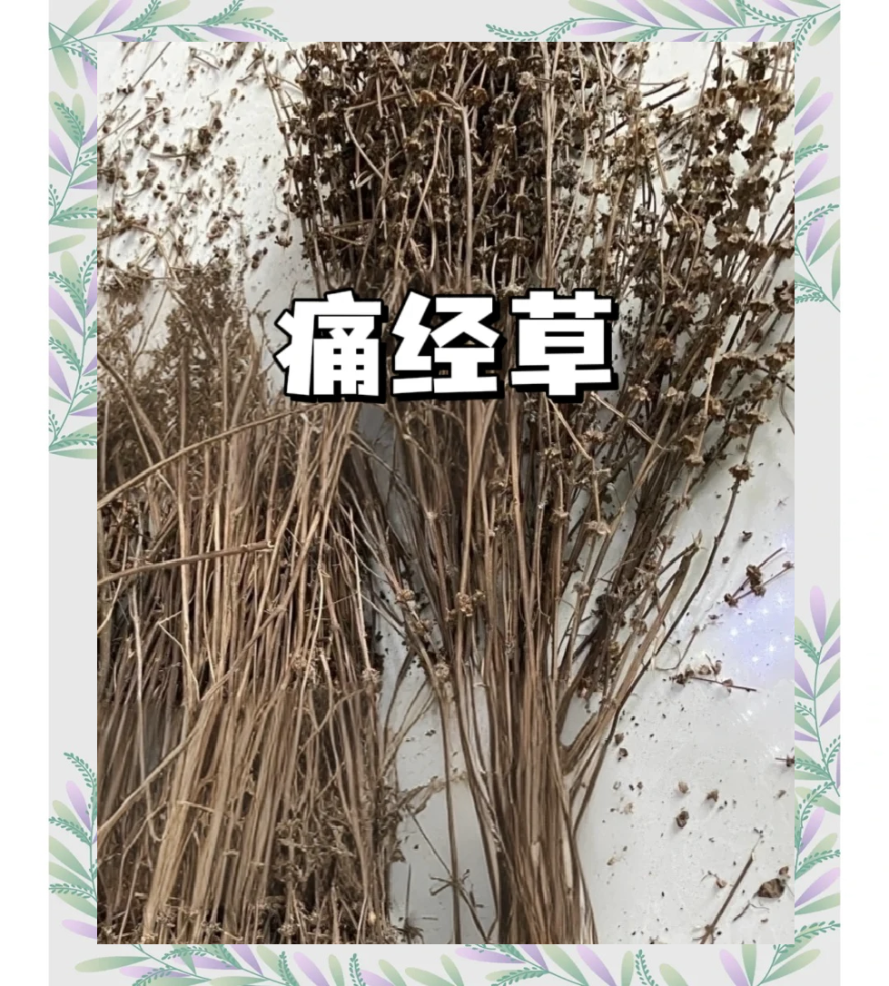 小茴香的功效与作用