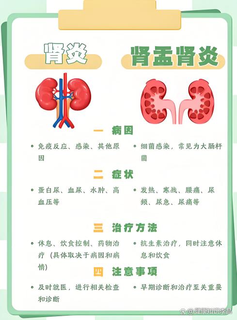 女人肾盂肾炎能治好吗?