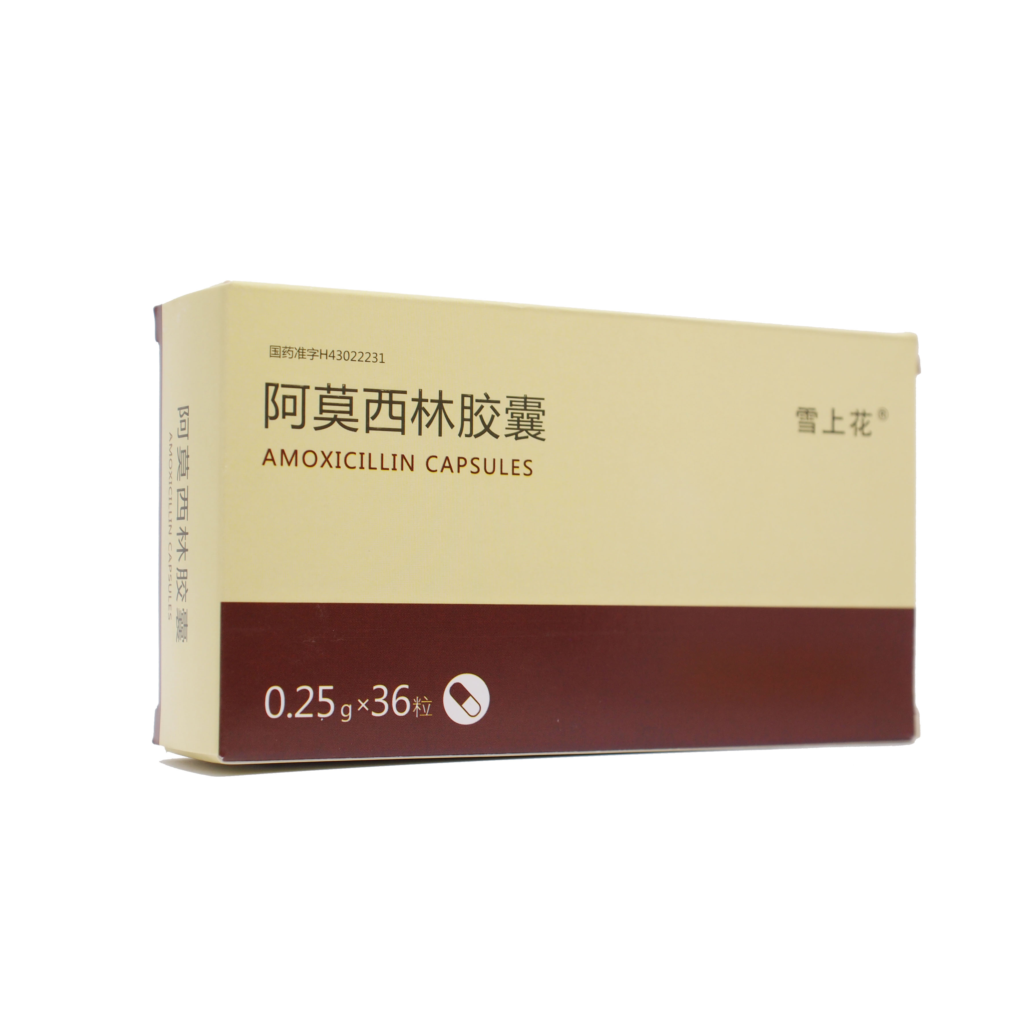 阿莫西林有什么作用