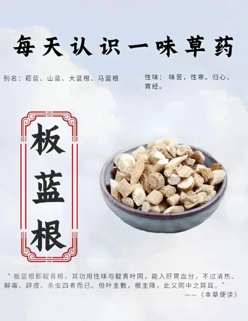 板蓝根冲剂的作用