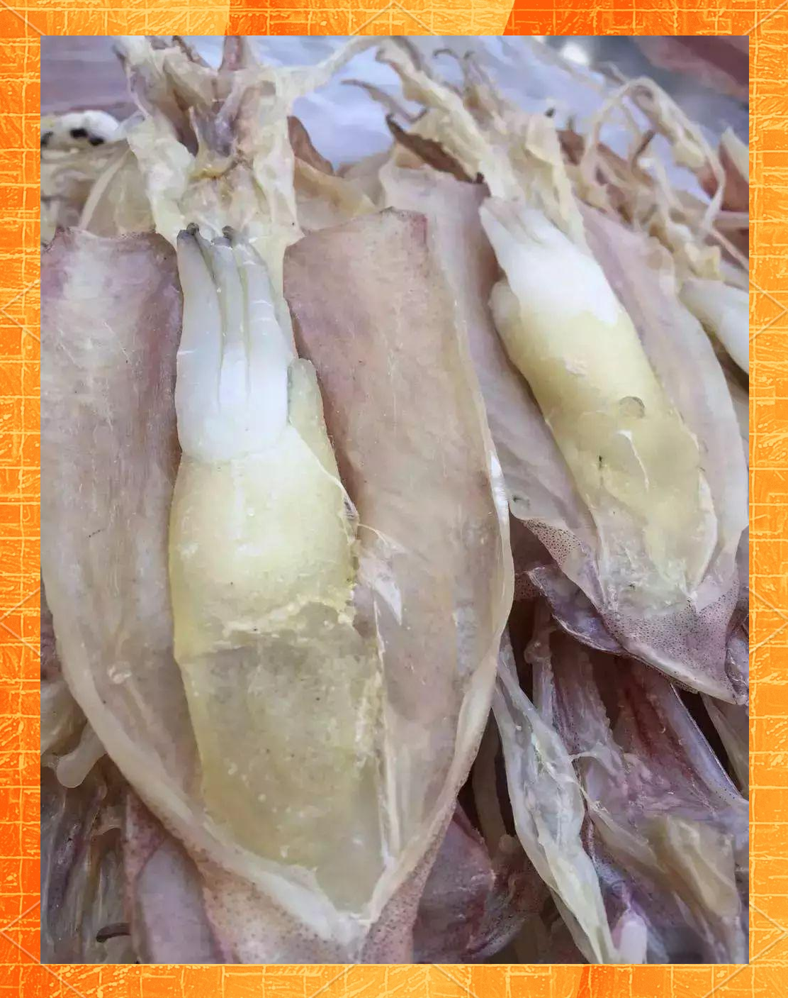 孕妇能不能吃鱿鱼