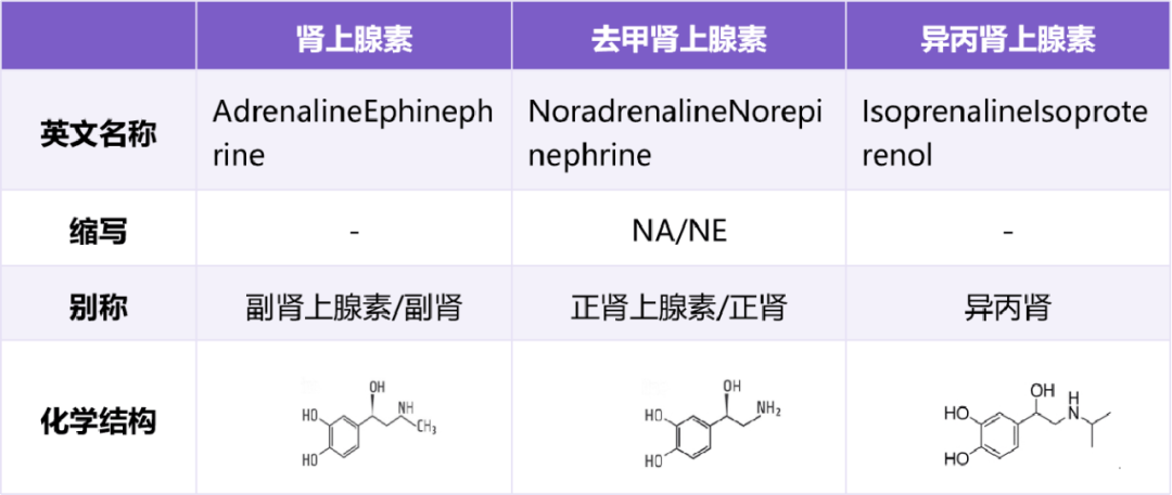 异丙肾上腺素的作用