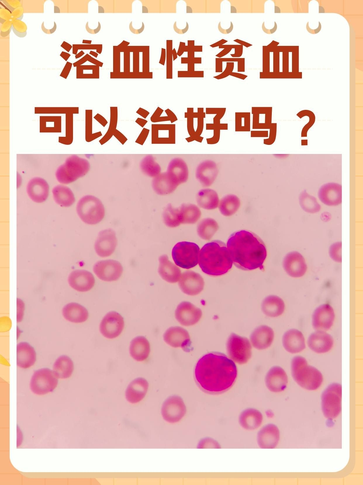 血红细胞偏低的原因是什么