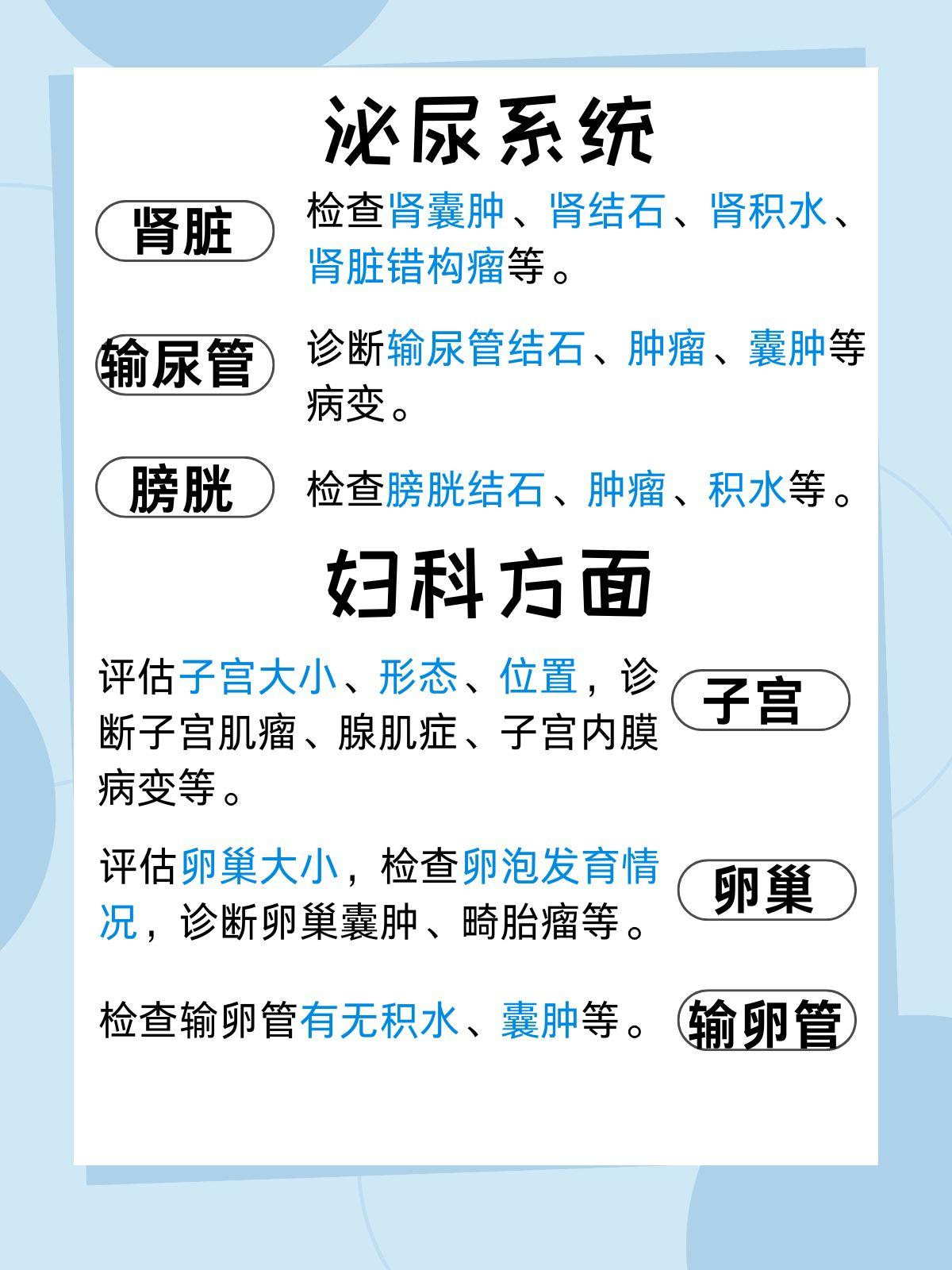 腹腔彩超查什么