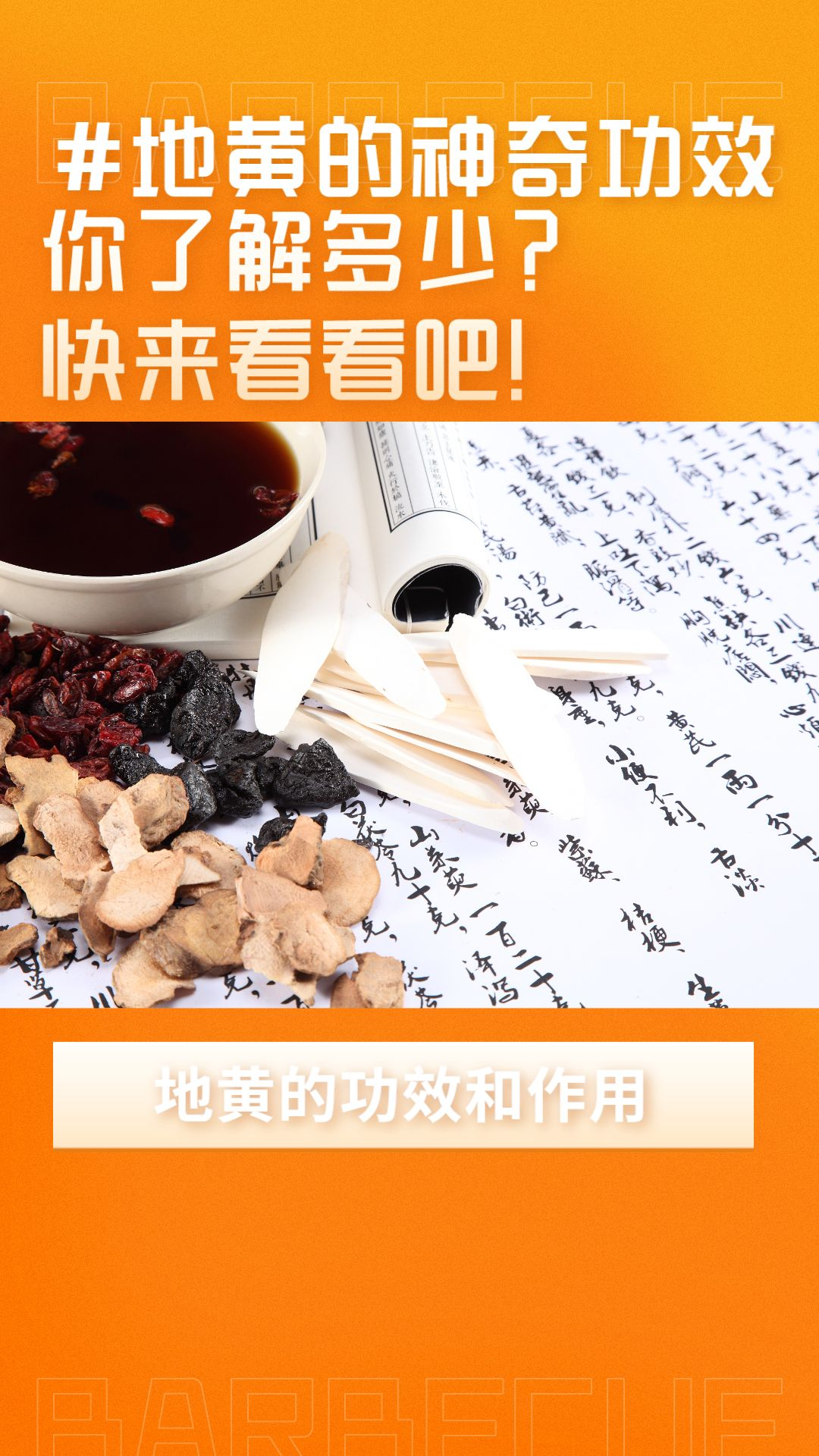 乘皎月 第2页