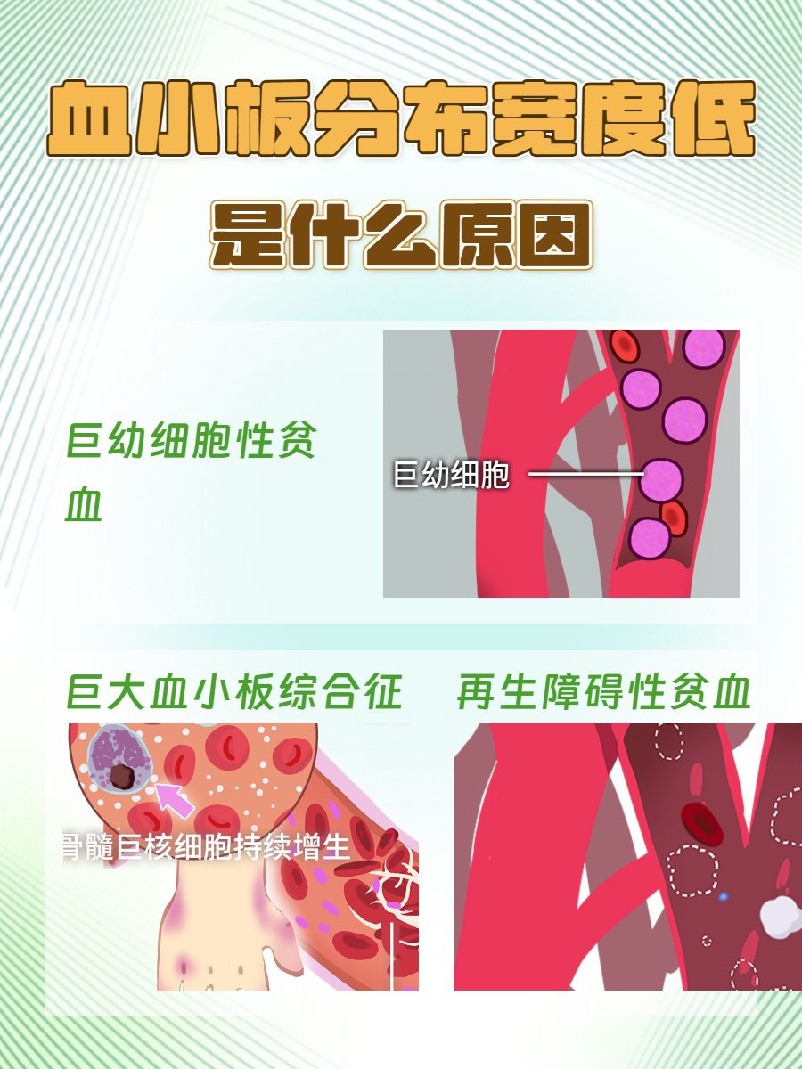 血小板多是什么原因