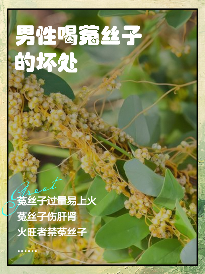2025年9月27日 第93页