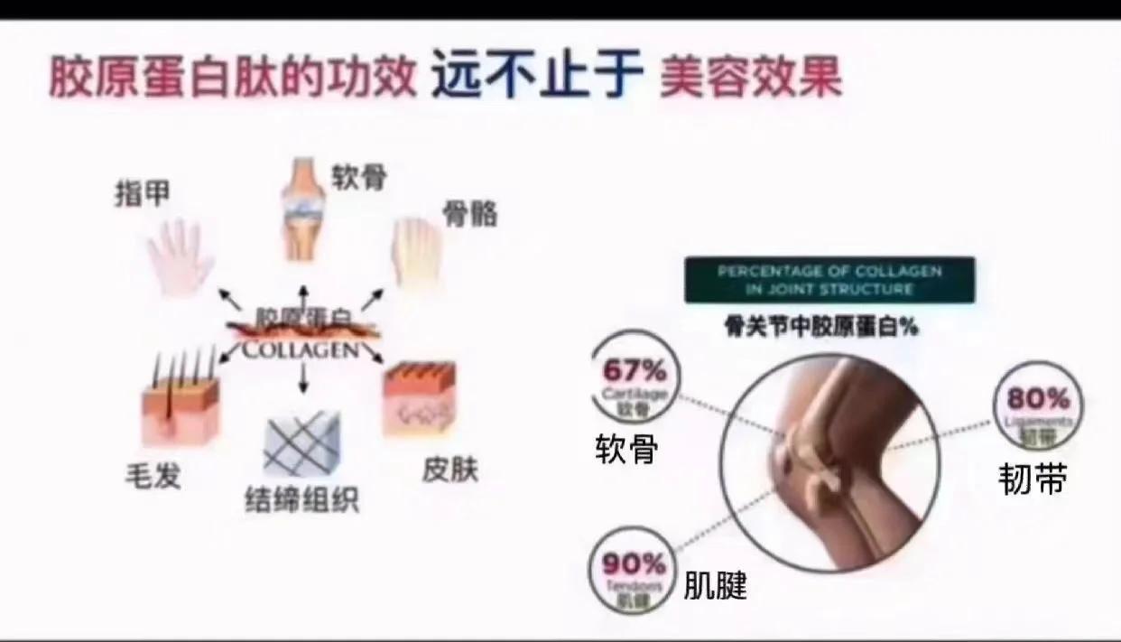 胶原蛋白有副作用吗..