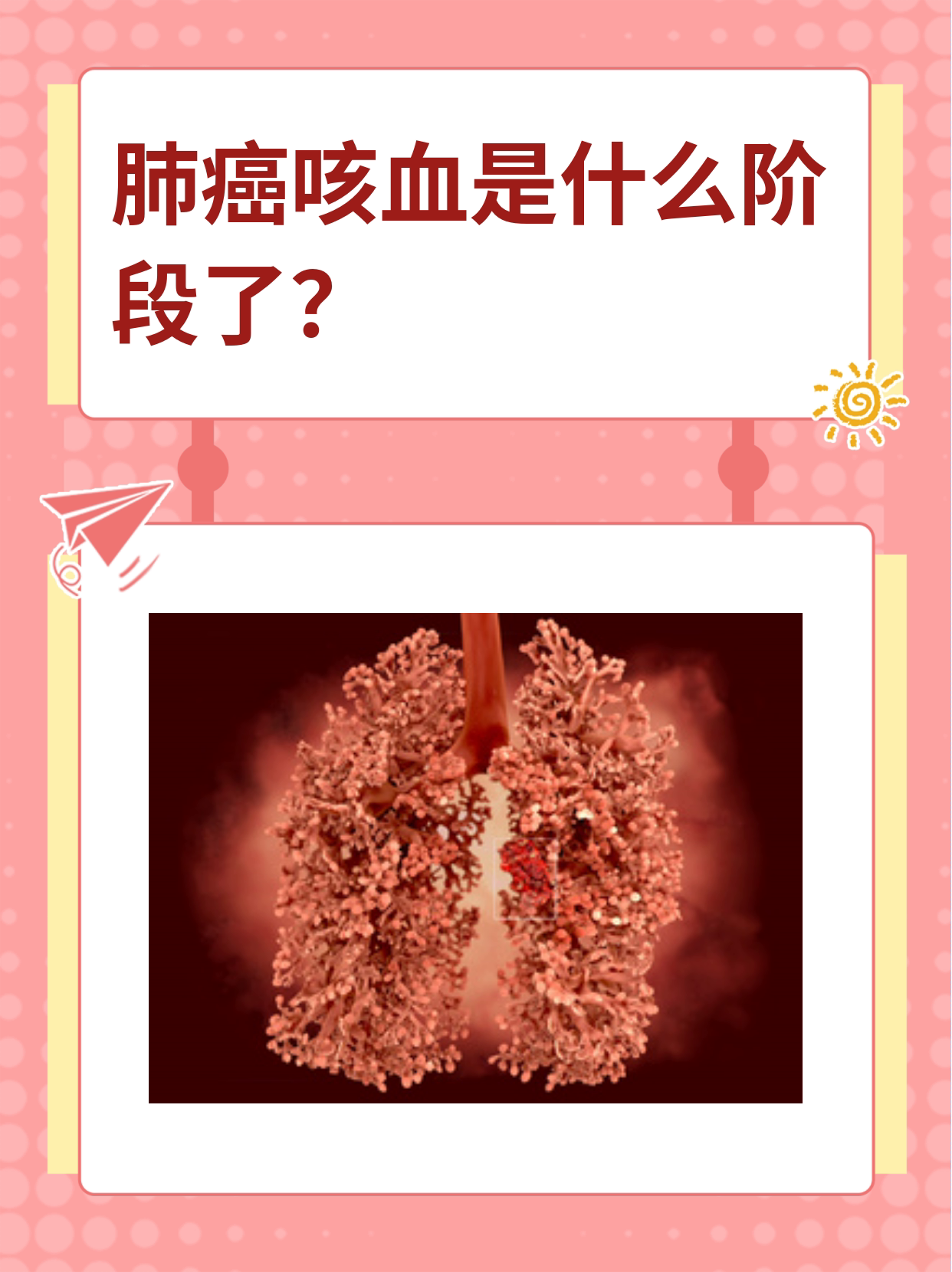 机韵梅 第2页