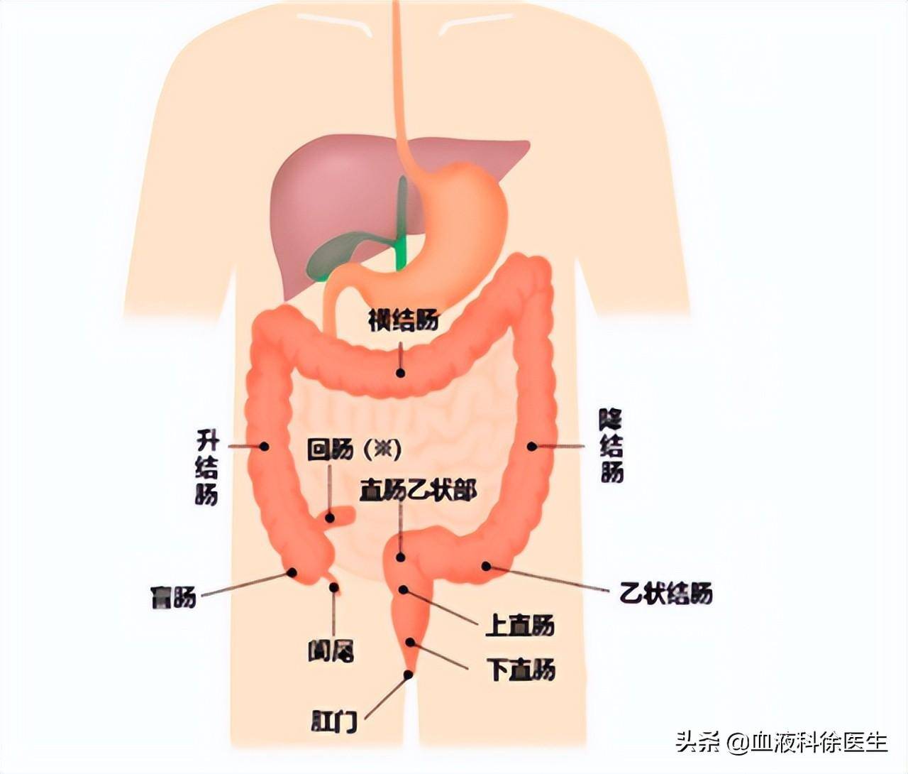归芫 第2页