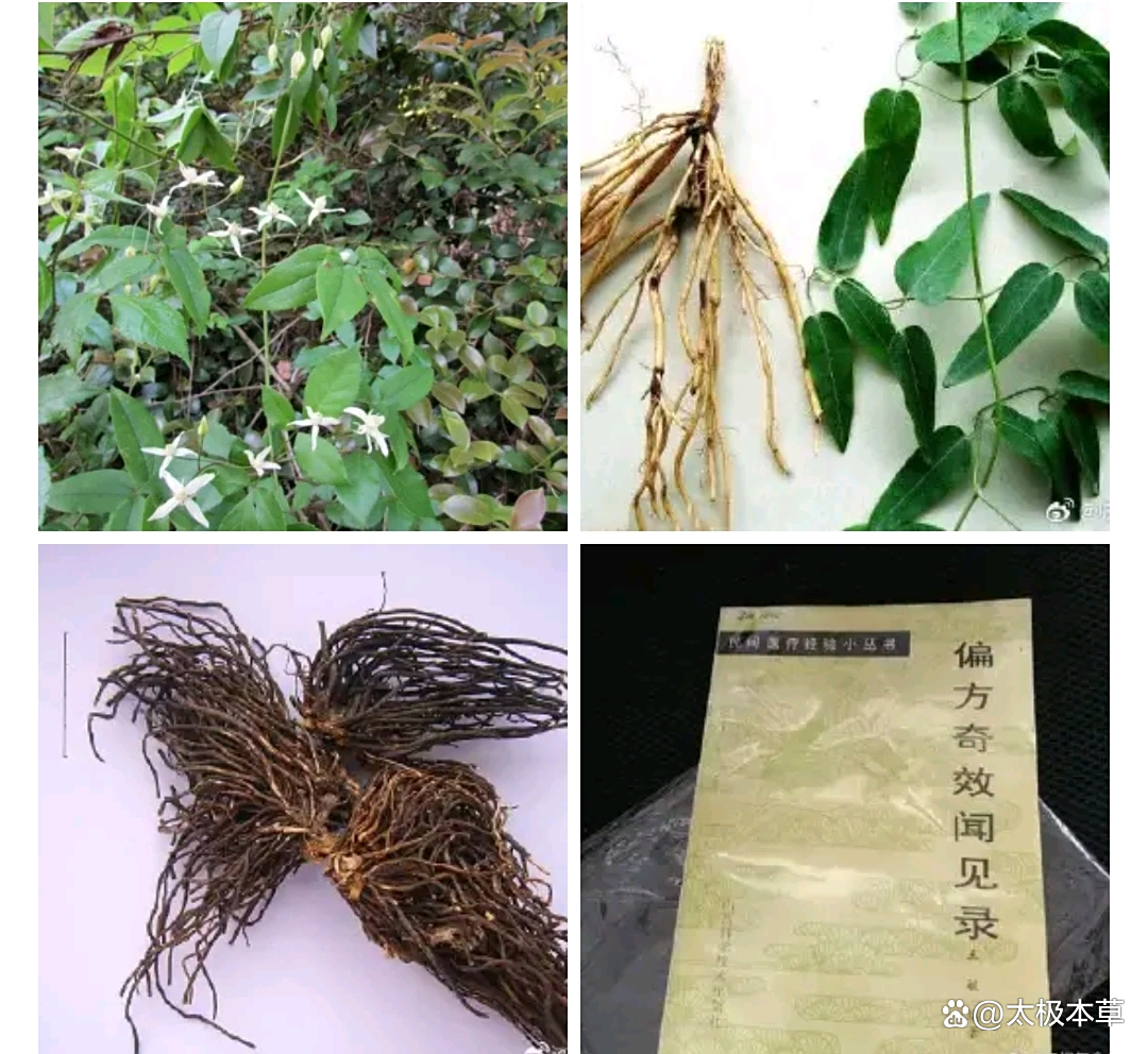 牧长莹 第2页